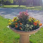 Gasthof Le Clos Des Palombes Wifi Climatisation 3*