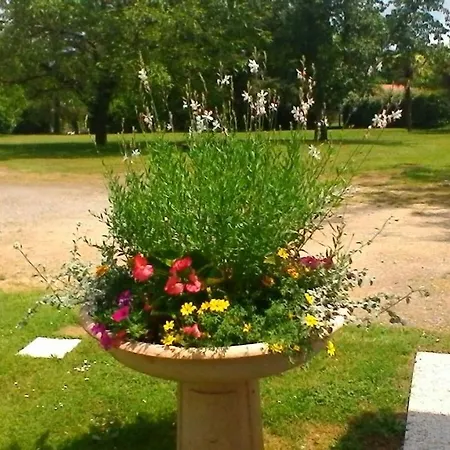 Le Clos Des Palombes Wifi Climatisation * Saint-Pierre-du-Mont (Landes)