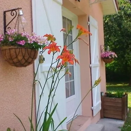 Le Clos Des Palombes Wifi Climatisation * Saint-Pierre-du-Mont (Landes)