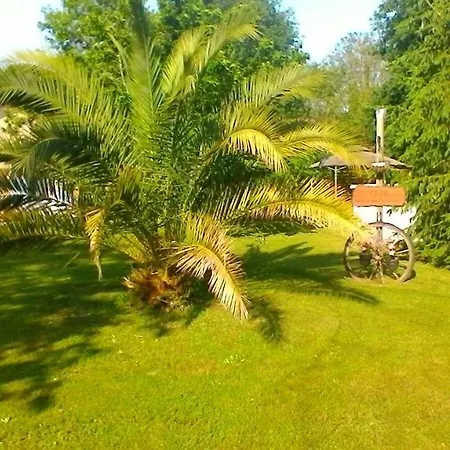Πανσιόν Le Clos Des Palombes Wifi Climatisation *