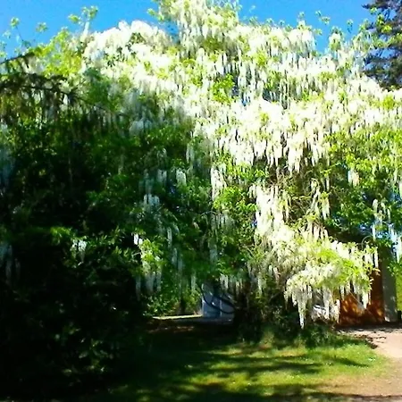 Guest house Le Clos Des Palombes Wifi Climatisation *