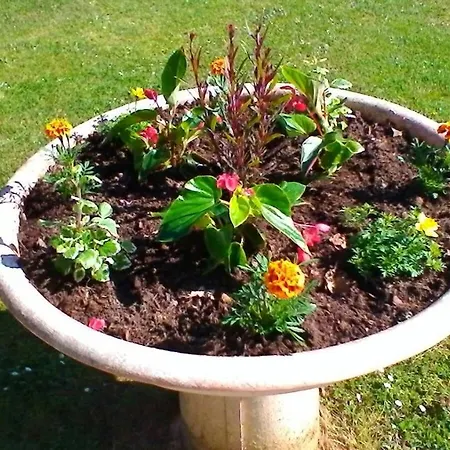 Pensión Le Clos Des Palombes Wifi Climatisation Saint-Pierre-du-Mont (Landes)