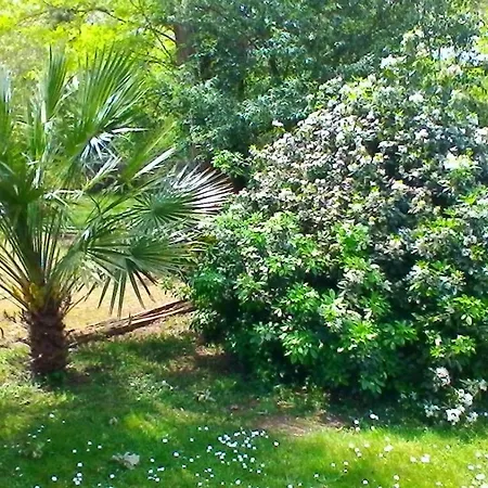 Le Clos Des Palombes Wifi Climatisation בית הארחה 3*