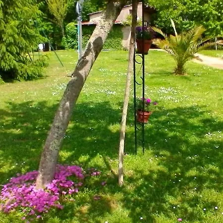 Guest house Le Clos Des Palombes Wifi Climatisation *