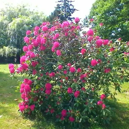 Guest house Le Clos Des Palombes Wifi Climatisation Saint-Pierre-du-Mont (Landes)