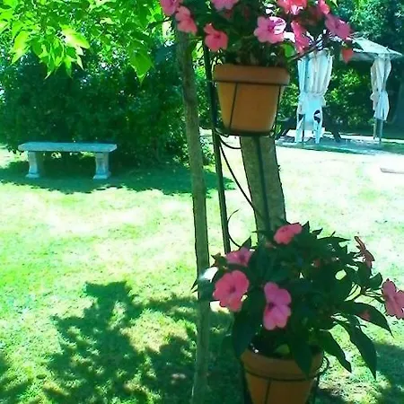 Le Clos Des Palombes Wifi Climatisation Pensión Saint-Pierre-du-Mont (Landes)